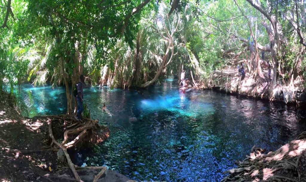 Kikuletwa Hot Volcanic Springs 1