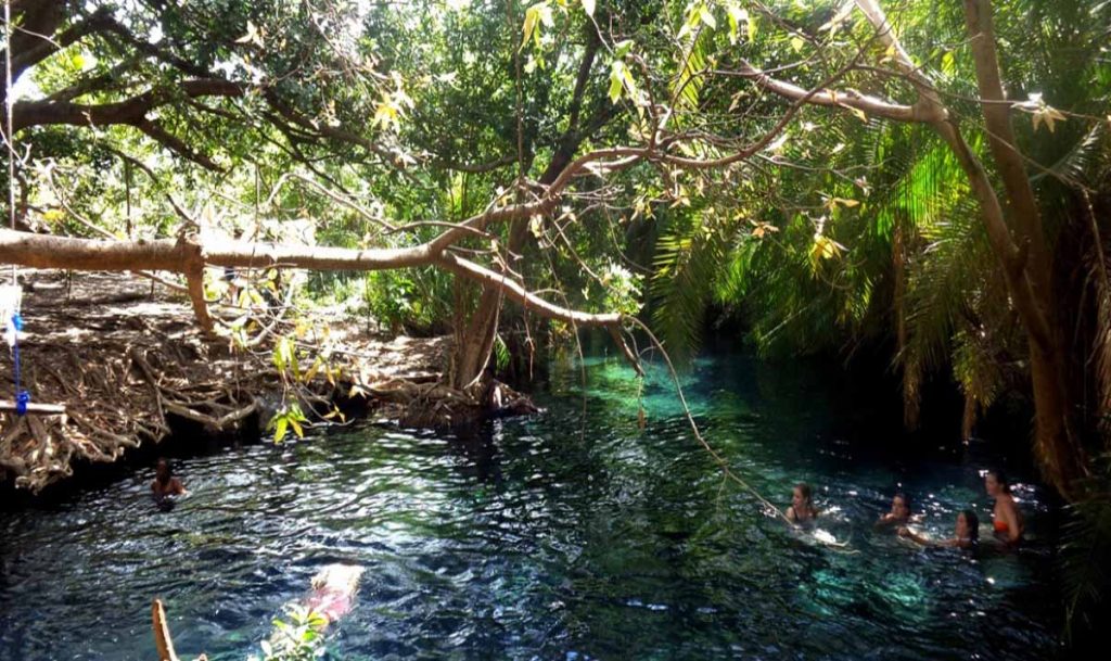 Kikuletwa Hot Volcanic Springs 2