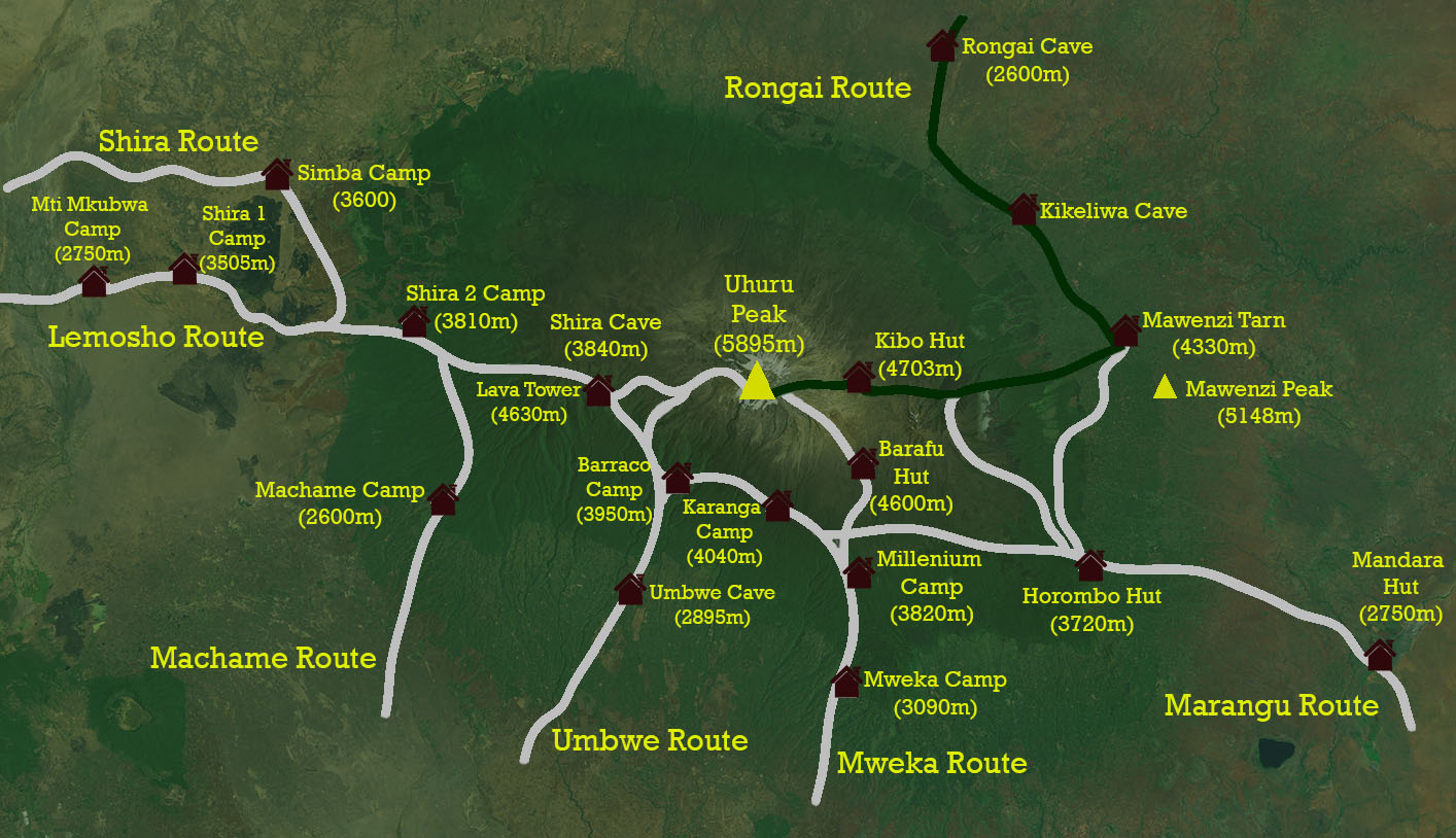 rongai