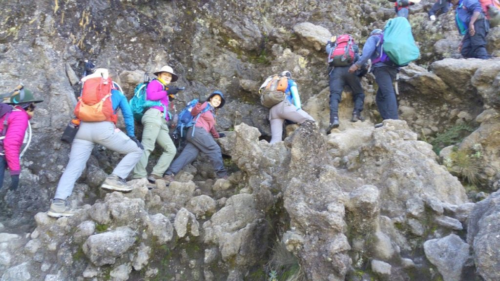 kibo trips (2)