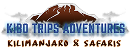 Kibo trips adventures logo