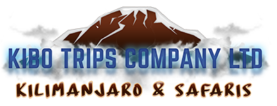 Kibo Trips Adventures
