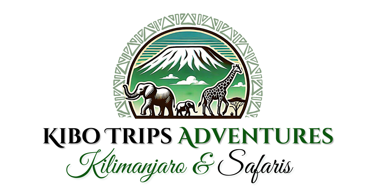 Kibo Trips Adventures